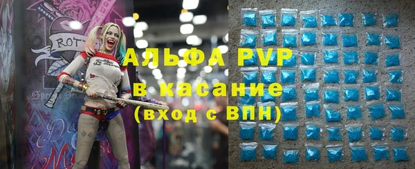 ПСИЛОЦИБИНОВЫЕ ГРИБЫ Волосово