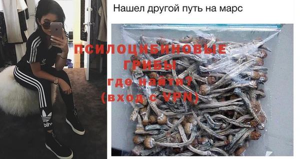 дурь Верхний Тагил