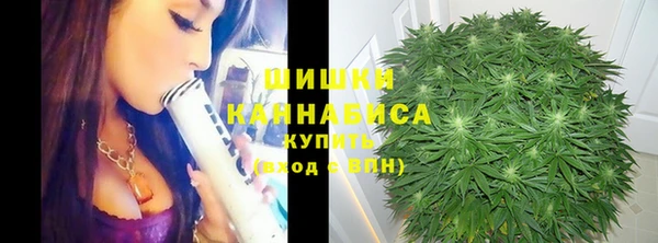 дурь Верхний Тагил